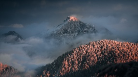 云雾缭绕雪山树林图片